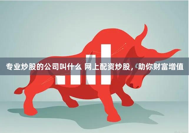 专业炒股的公司叫什么 网上配资炒股，助你财富增值