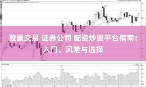 股票交易 证券公司 配资炒股平台指南：入门、风险与选择