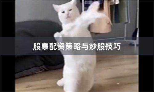 股票配资策略与炒股技巧