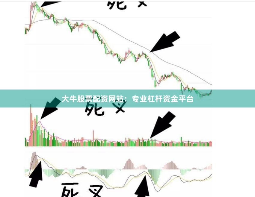 大牛股票配资网站：专业杠杆资金平台