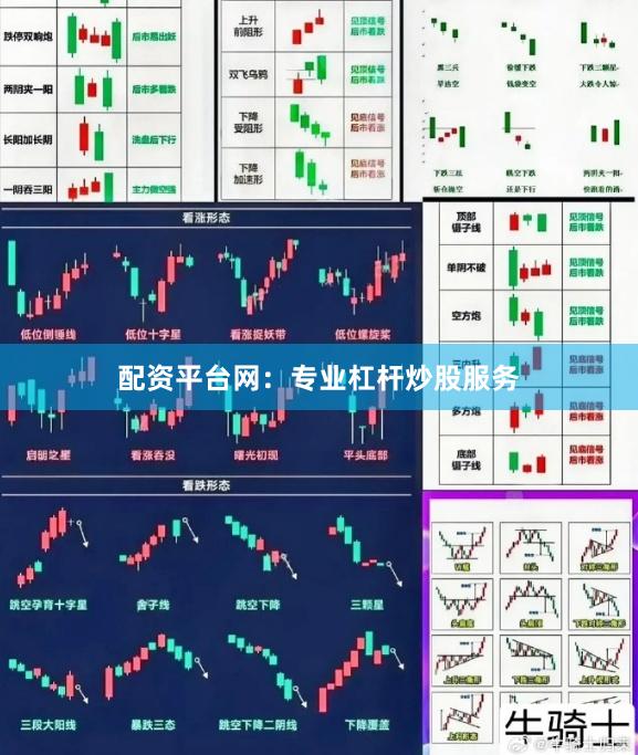 配资平台网：专业杠杆炒股服务